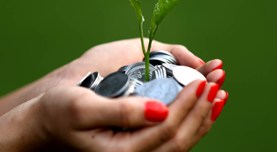 Cara Menghindari Penipuan Properti dan Investasi Bodong