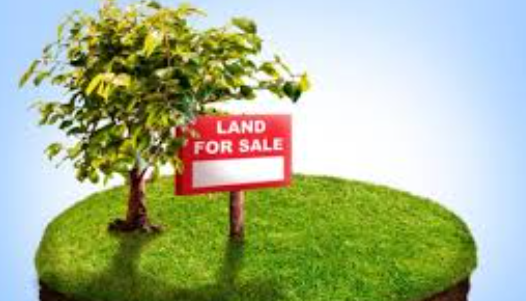 Info Properti Terpercaya Cara Cerdas Membeli Aset Tanah